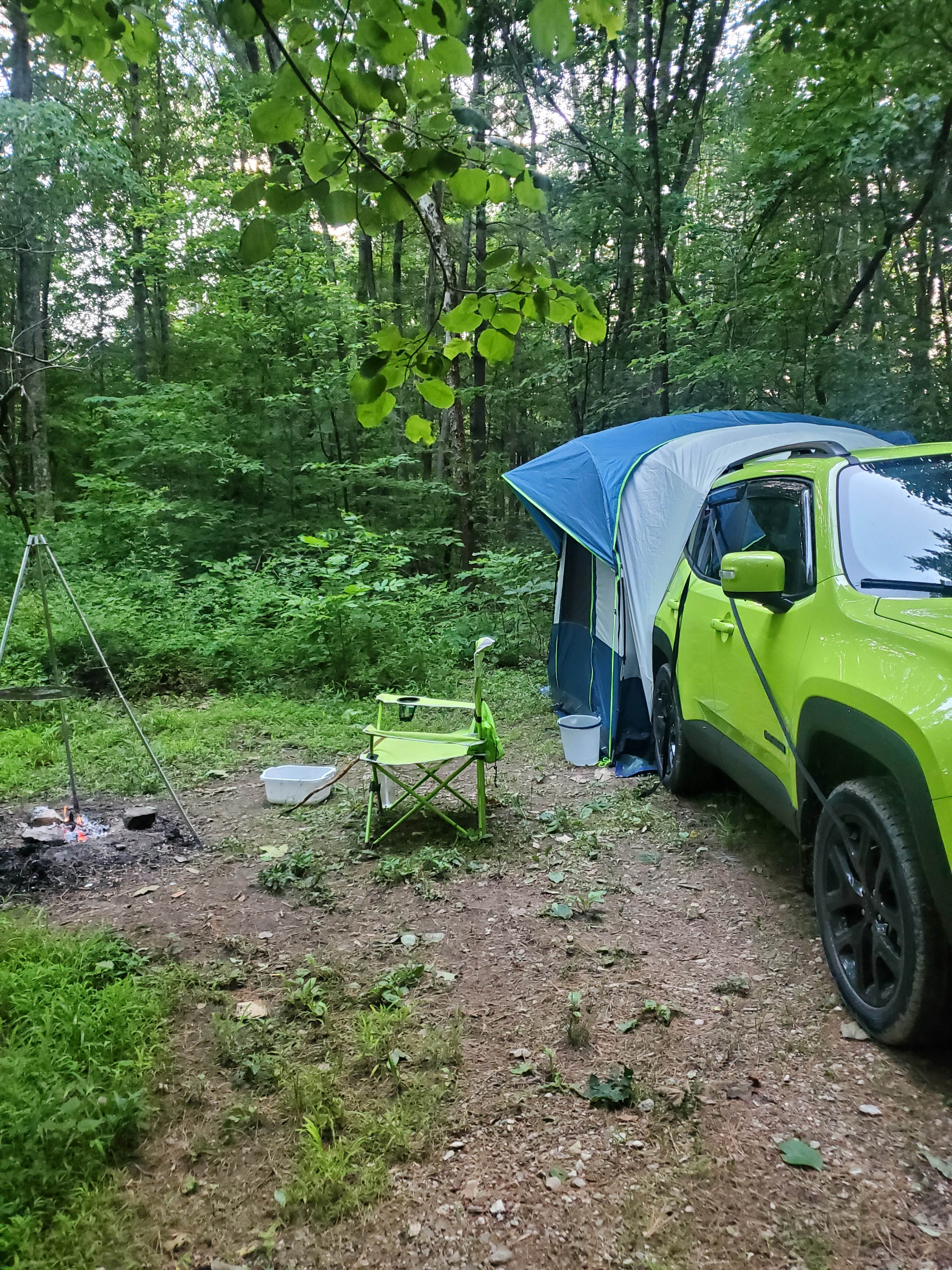 Angie B.'s photo of tent camping at Berry Ridge Road - Dispersed Camping near Brownstown, IN