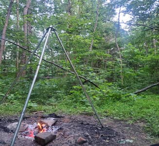Camper-submitted photo from Yellowwood State Forest