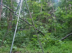 Berry Ridge Road - Dispersed Camping