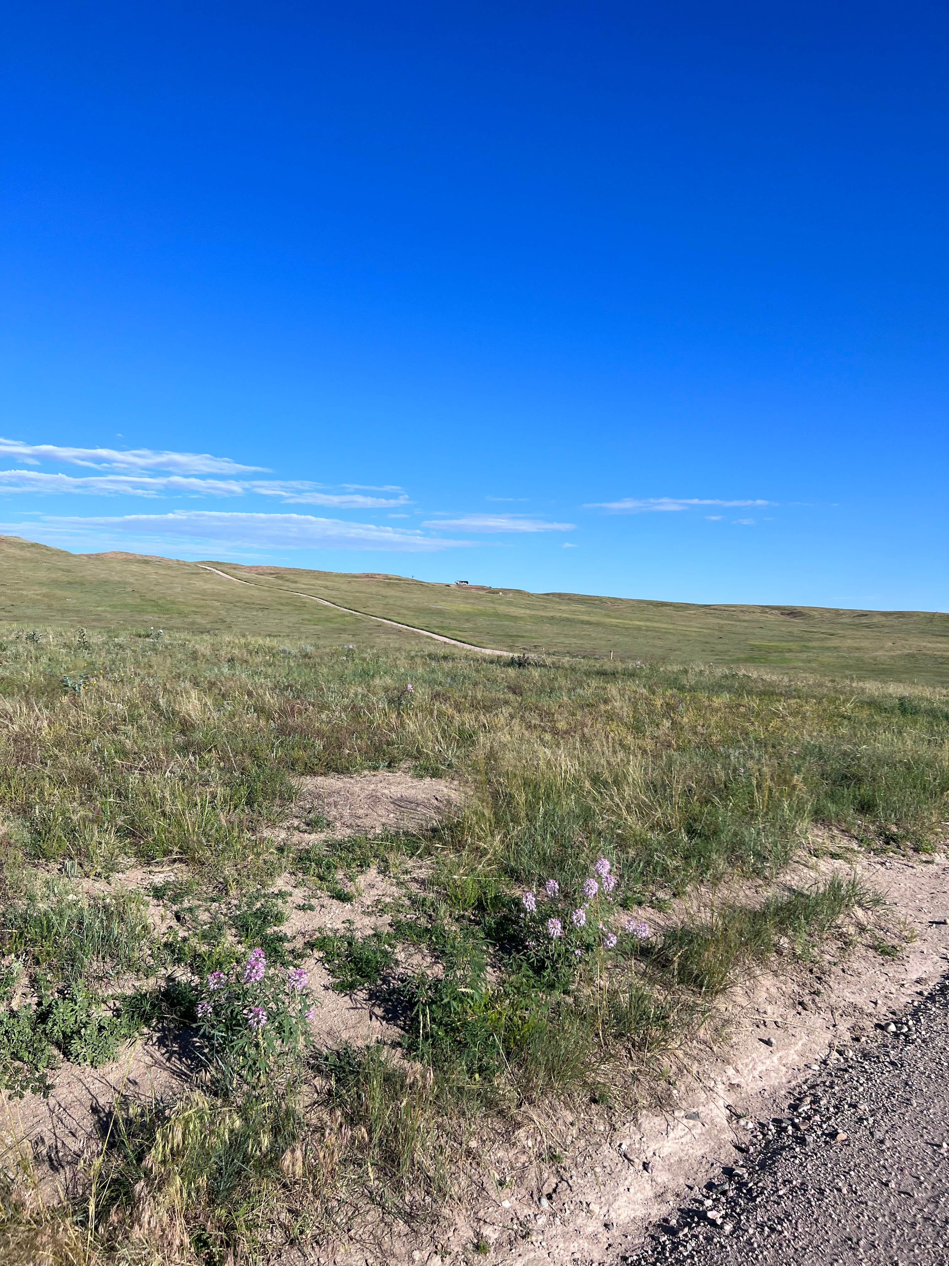 Arian K.'s photo of a dispersed camping area at Pawnee Butte View near Padroni, CO