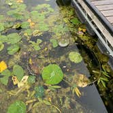 Review photo of Nimisila Reservoir Metro Park Campground by Rachel S., July 2, 2023