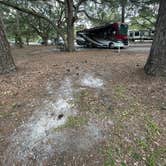 Review photo of Reed Bingham State Park Campground by Lauren W., July 2, 2023