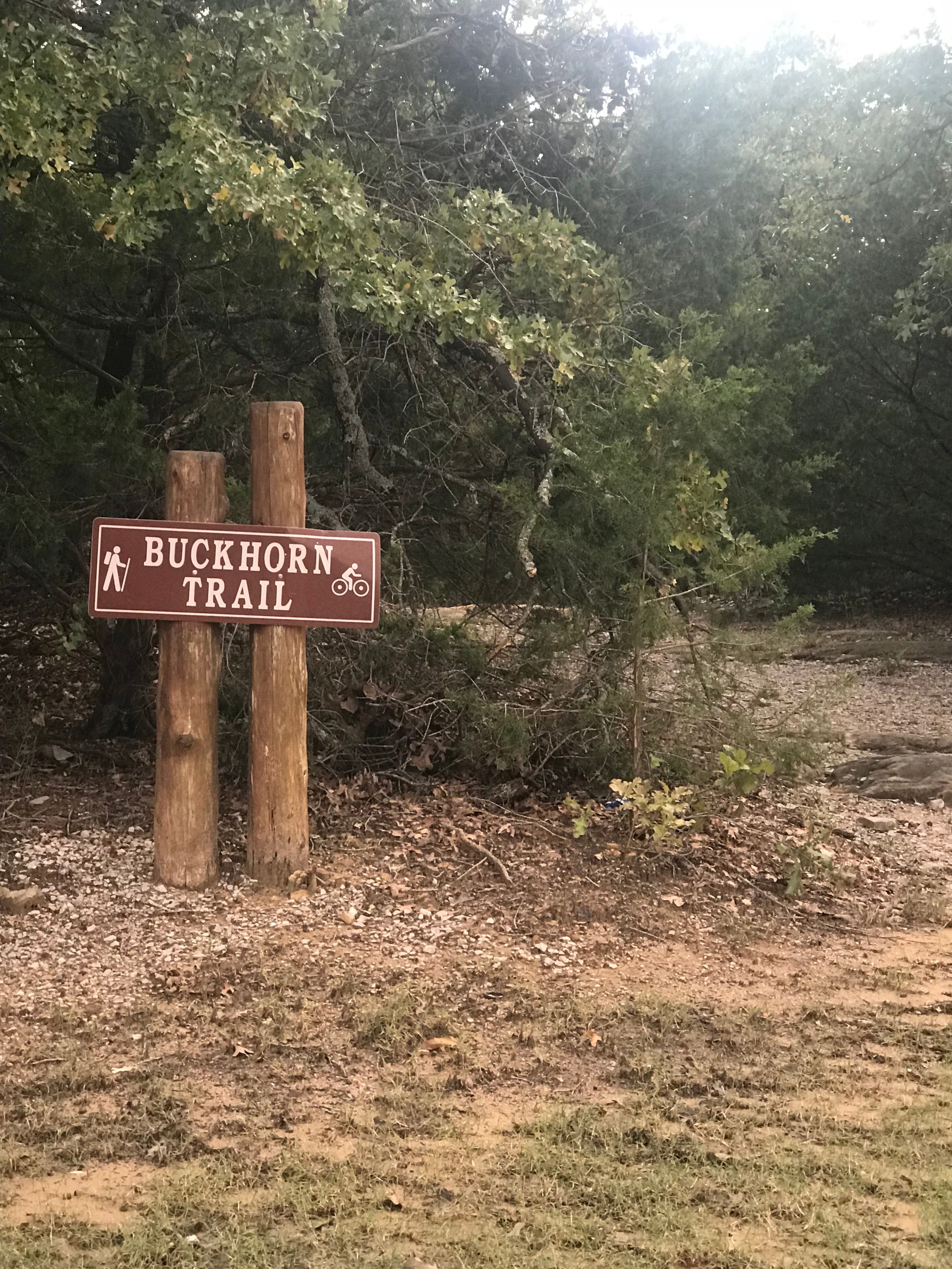 There is one hiking trail at this campsite as you pull in on the main driveway