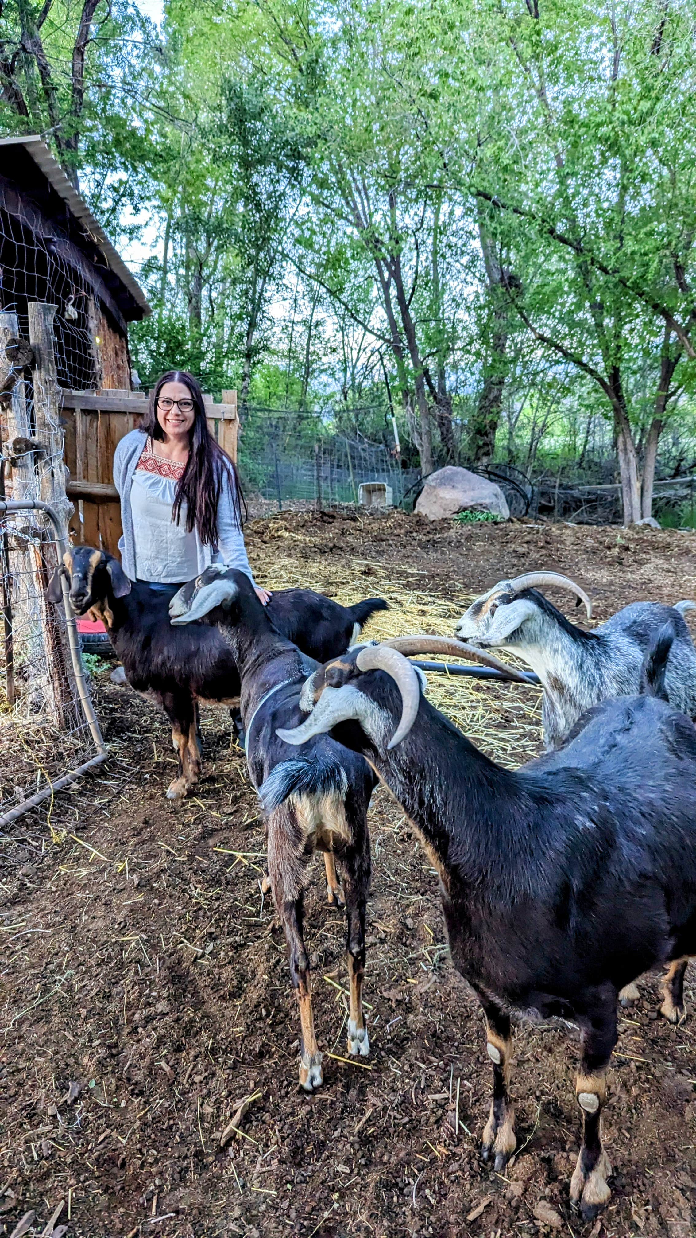 Camper-submitted photo at Sage View Ranch near Paonia, CO