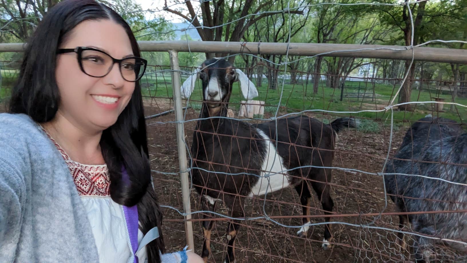 Camper-submitted photo at Sage View Ranch near Paonia, CO