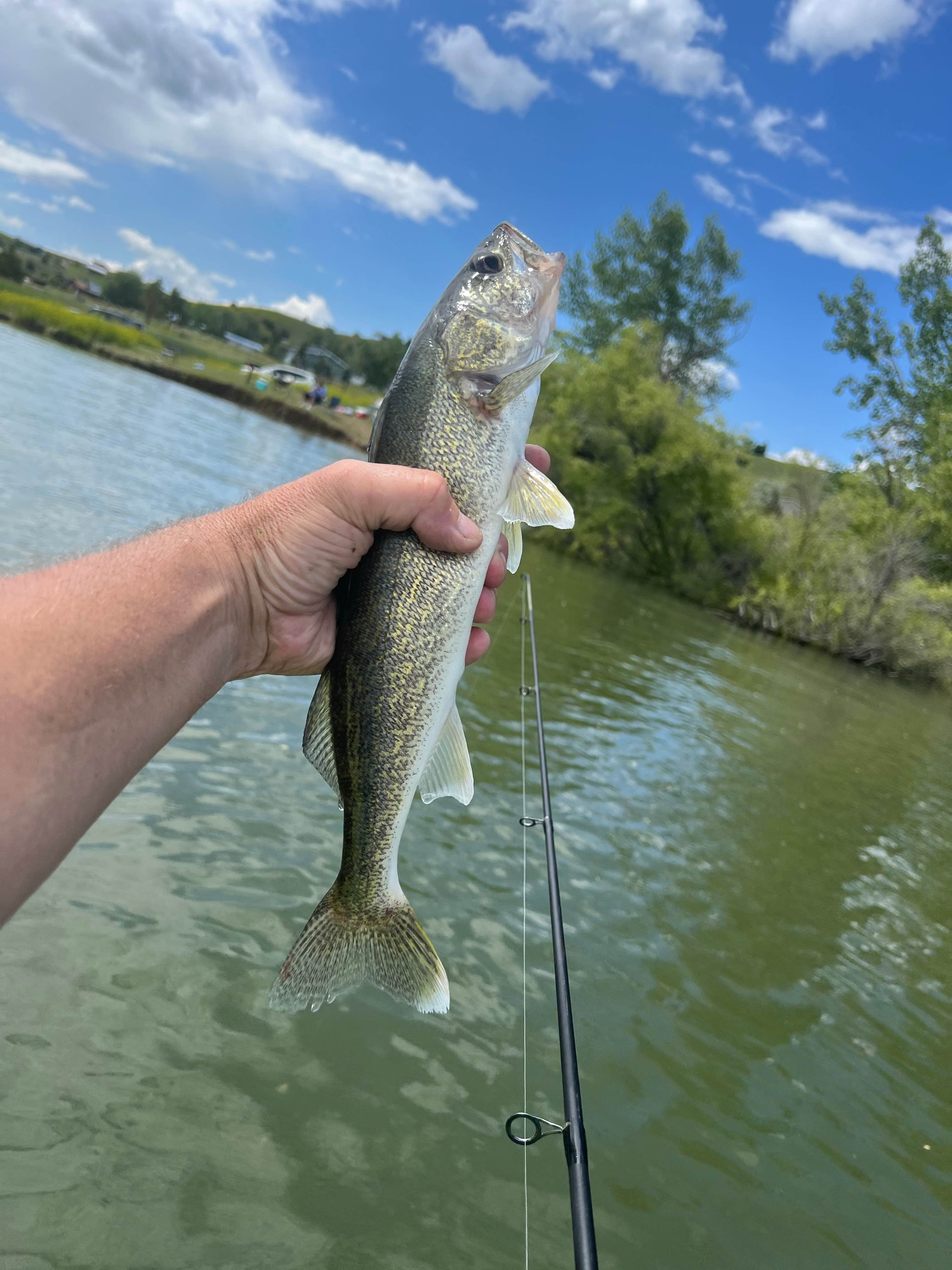 Camper-submitted photo at Cooney State Park Campground near Pryor, MT