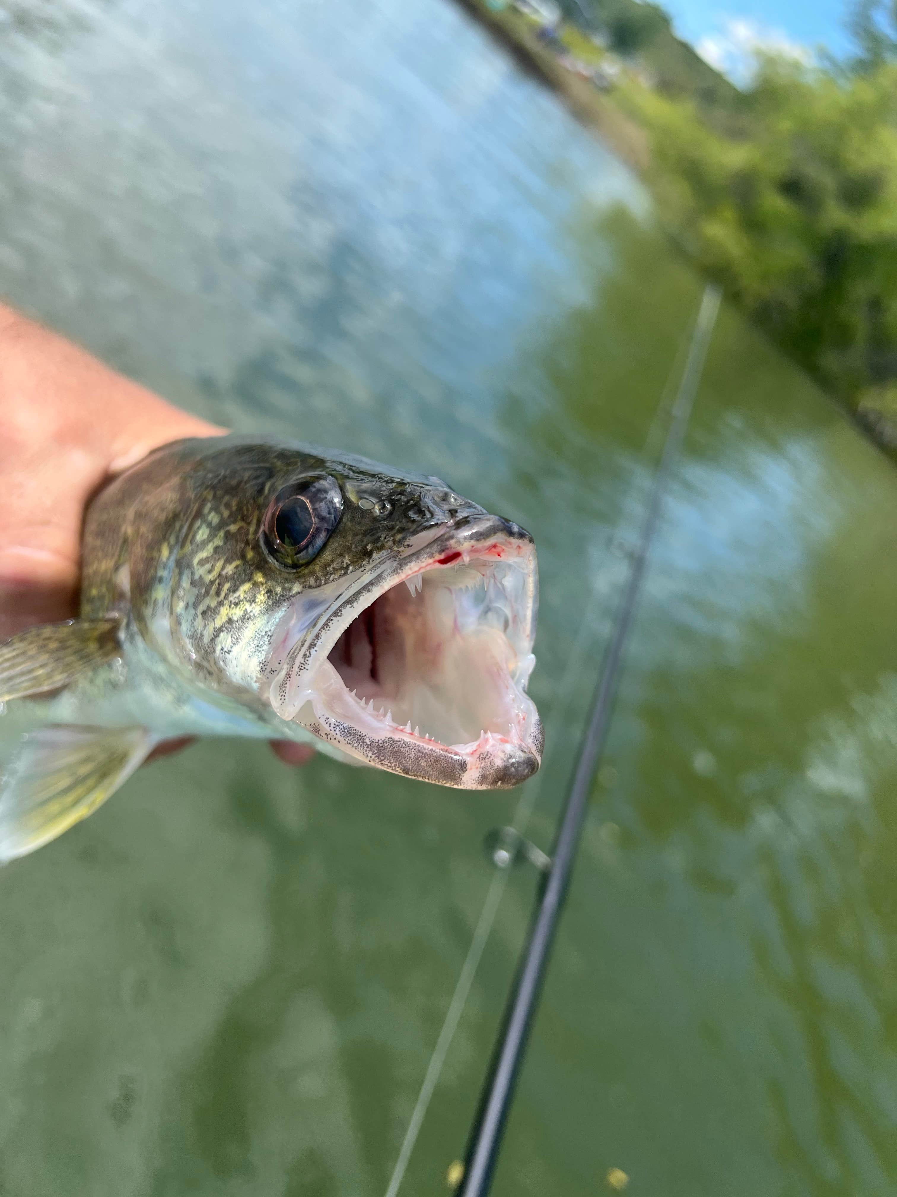 Camper-submitted photo at Cooney State Park Campground near Pryor, MT