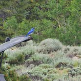 Review photo of Lakeview Campground by Seth H., July 2, 2023