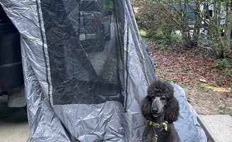 Jerry P.'s photo of camping with pets at Gulpha Gorge Campground — Hot Springs National Park near Hot Springs National Park, AR