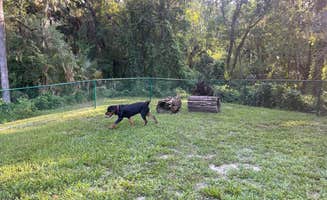Hannah  L.'s photo of camping with pets at Trails End RV Park near Webster, FL