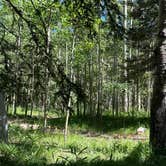 Review photo of Aspen Basin Campground by Andru Z., July 2, 2023