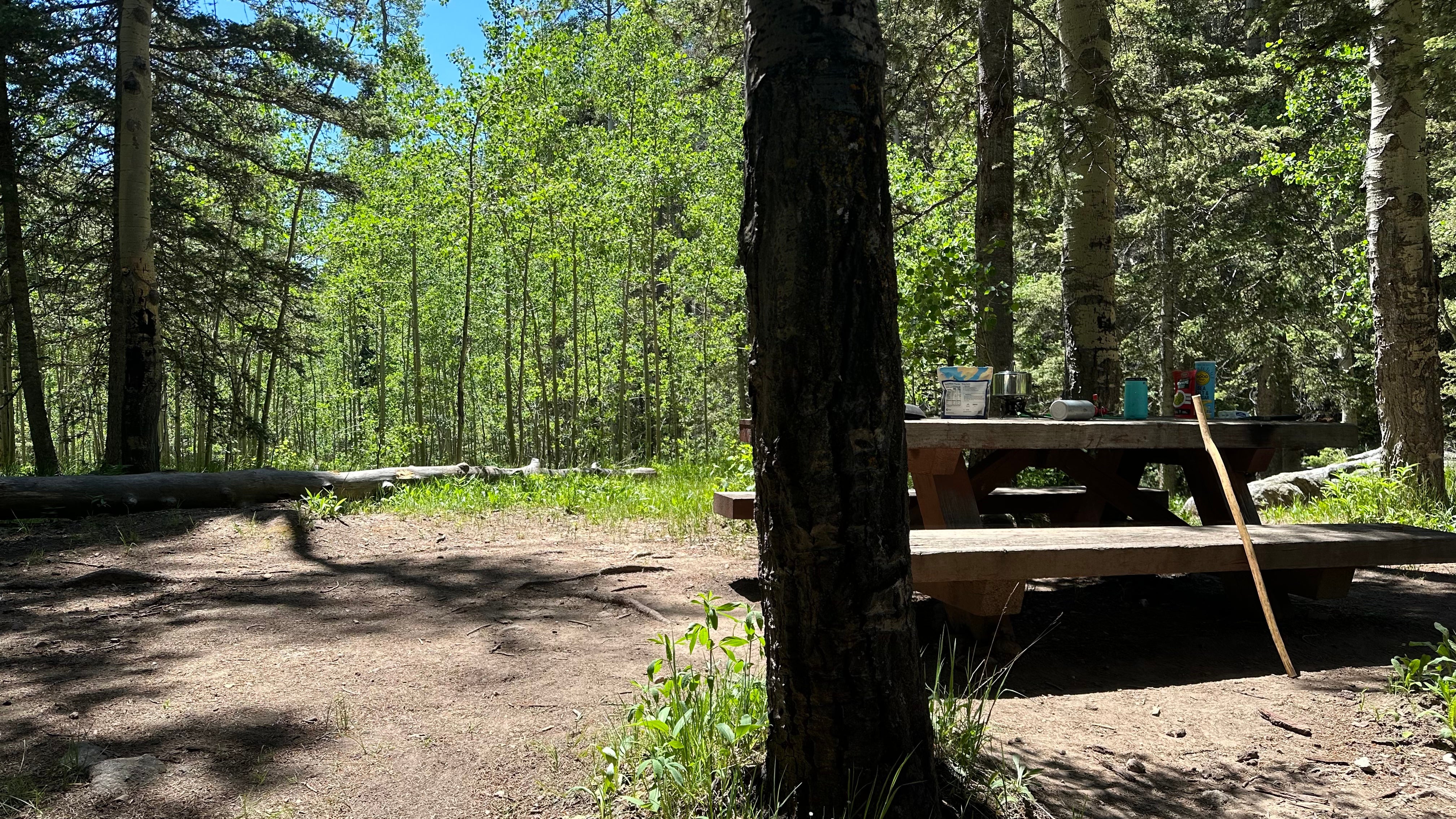 Camper submitted image from Aspen Basin Campground - 5