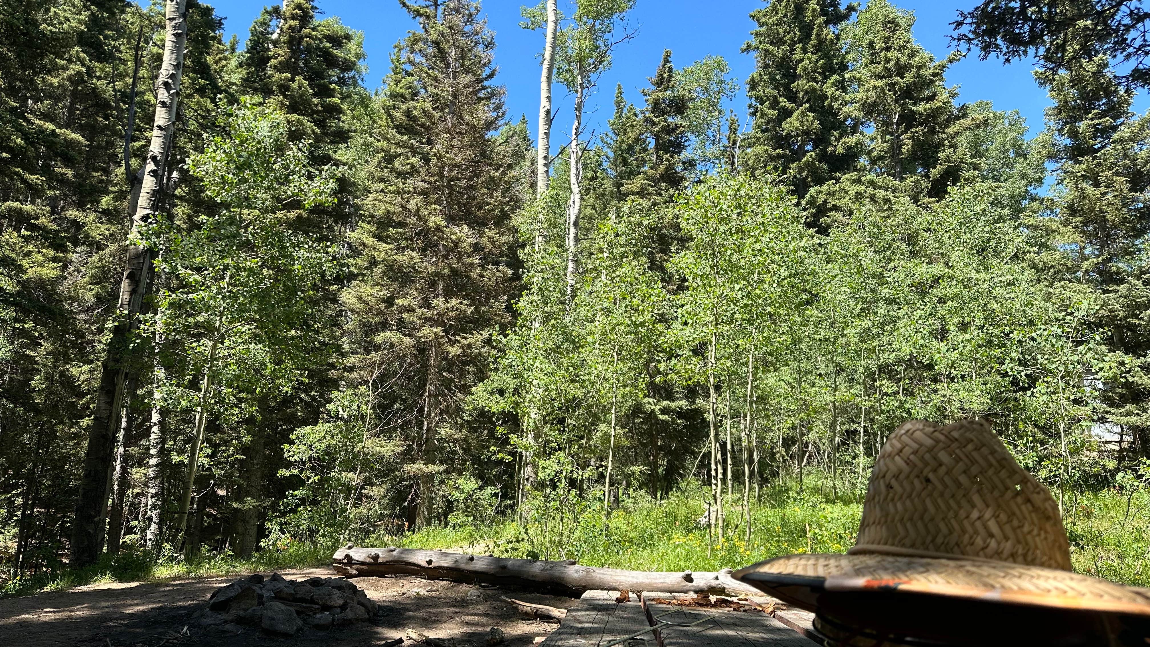 Camper-submitted photo at Aspen Basin Campground near Glorieta, NM
