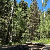 Review photo of Aspen Basin Campground by Andru Z., July 2, 2023