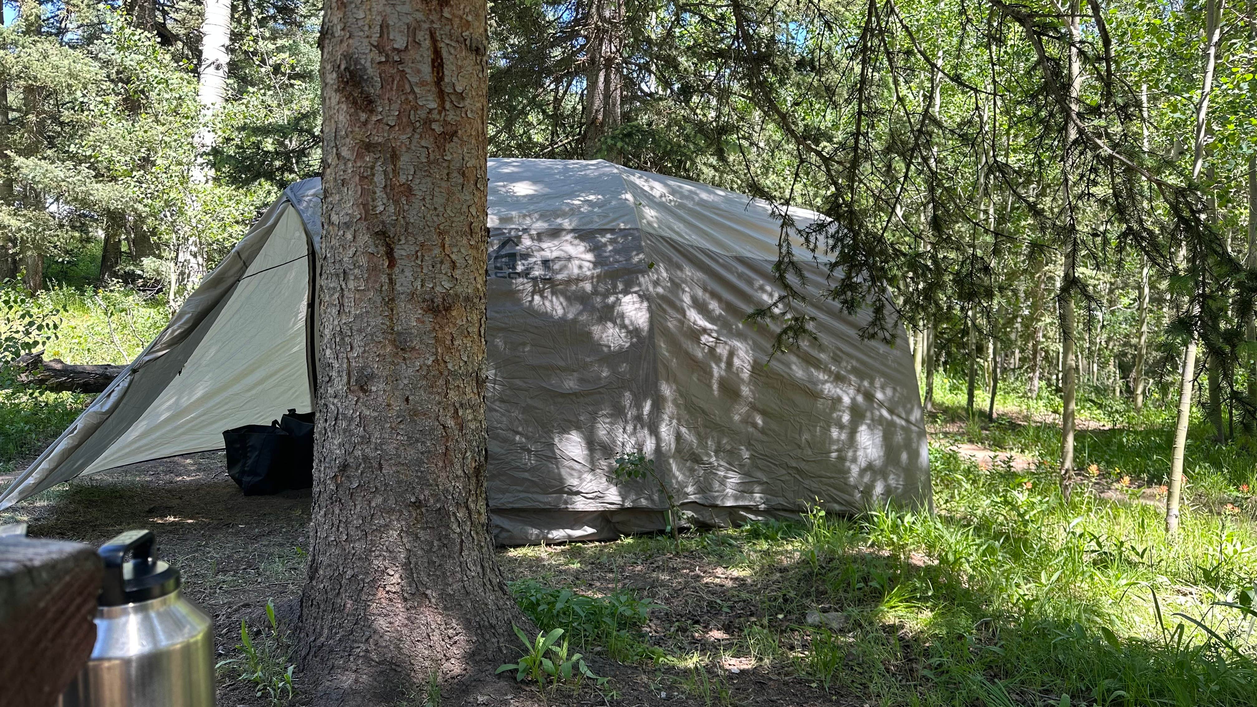 Camper-submitted photo at Aspen Basin Campground near Pecos, NM