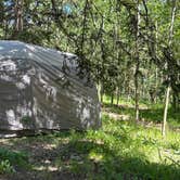 Review photo of Aspen Basin Campground by Andru Z., July 2, 2023