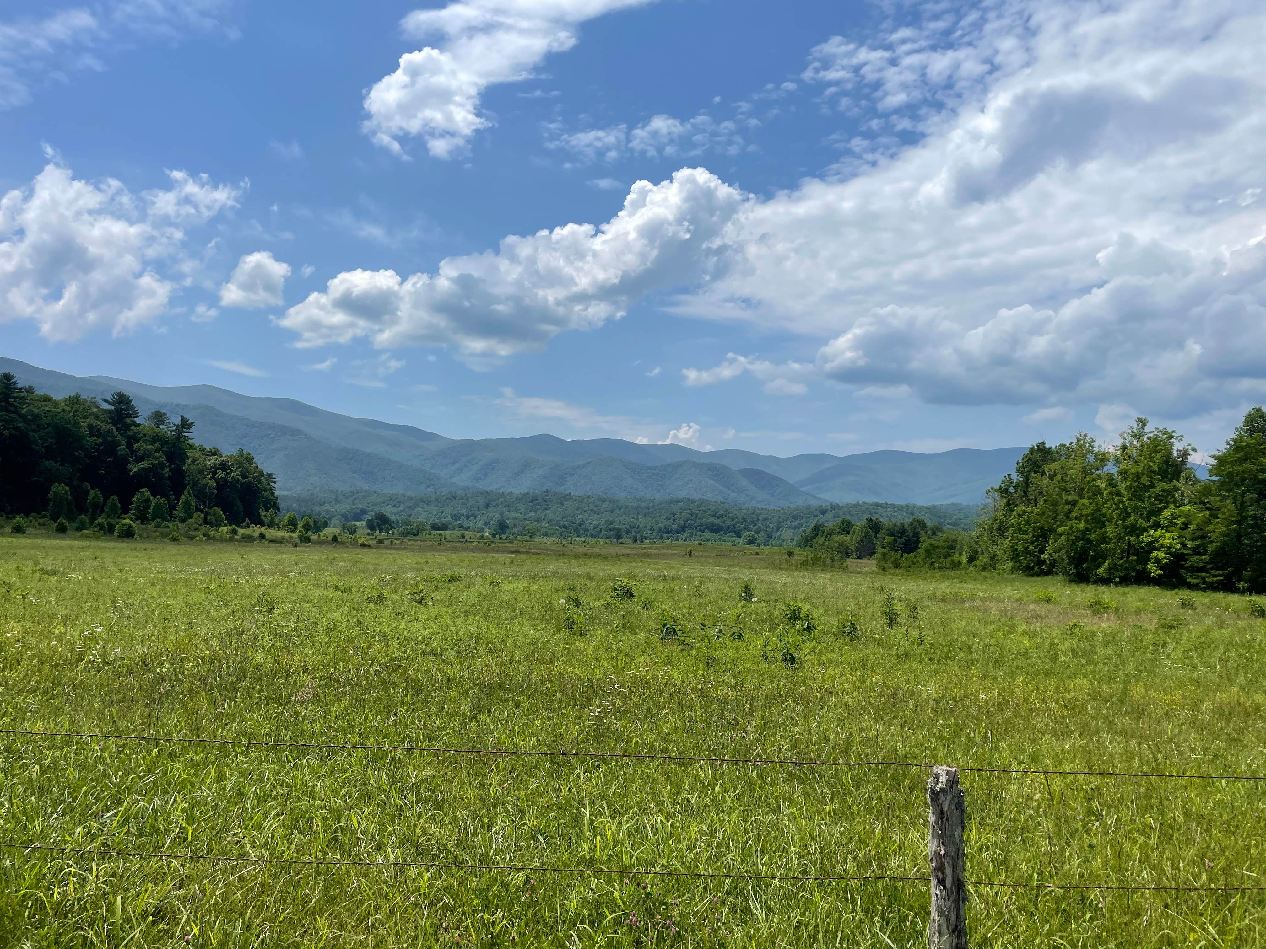 Deciviews from Look Rock, Great Smoky Mountains National Park: How Hazy is  it?