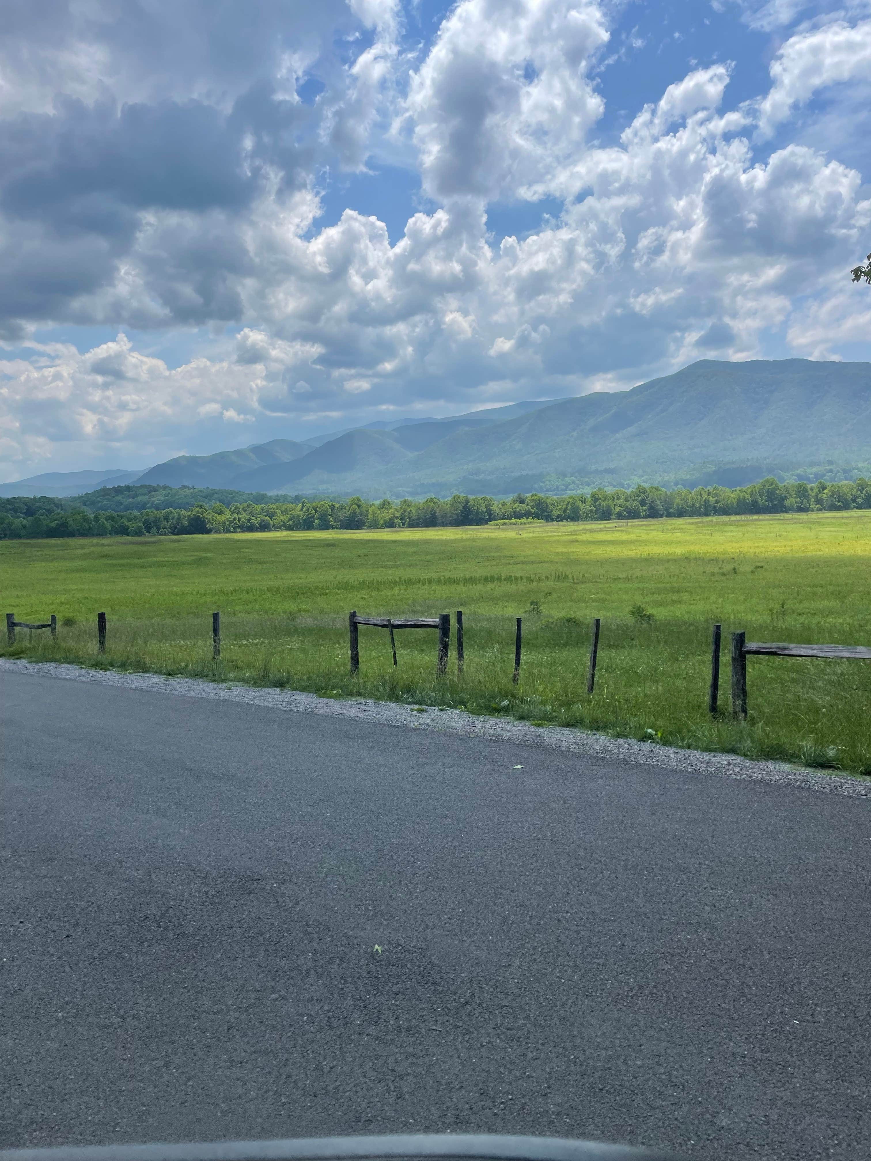 Deciviews from Look Rock, Great Smoky Mountains National Park: How Hazy is  it?