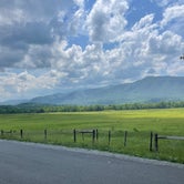 Review photo of Look Rock Campground — Great Smoky Mountains National Park by Jerry P., July 2, 2023