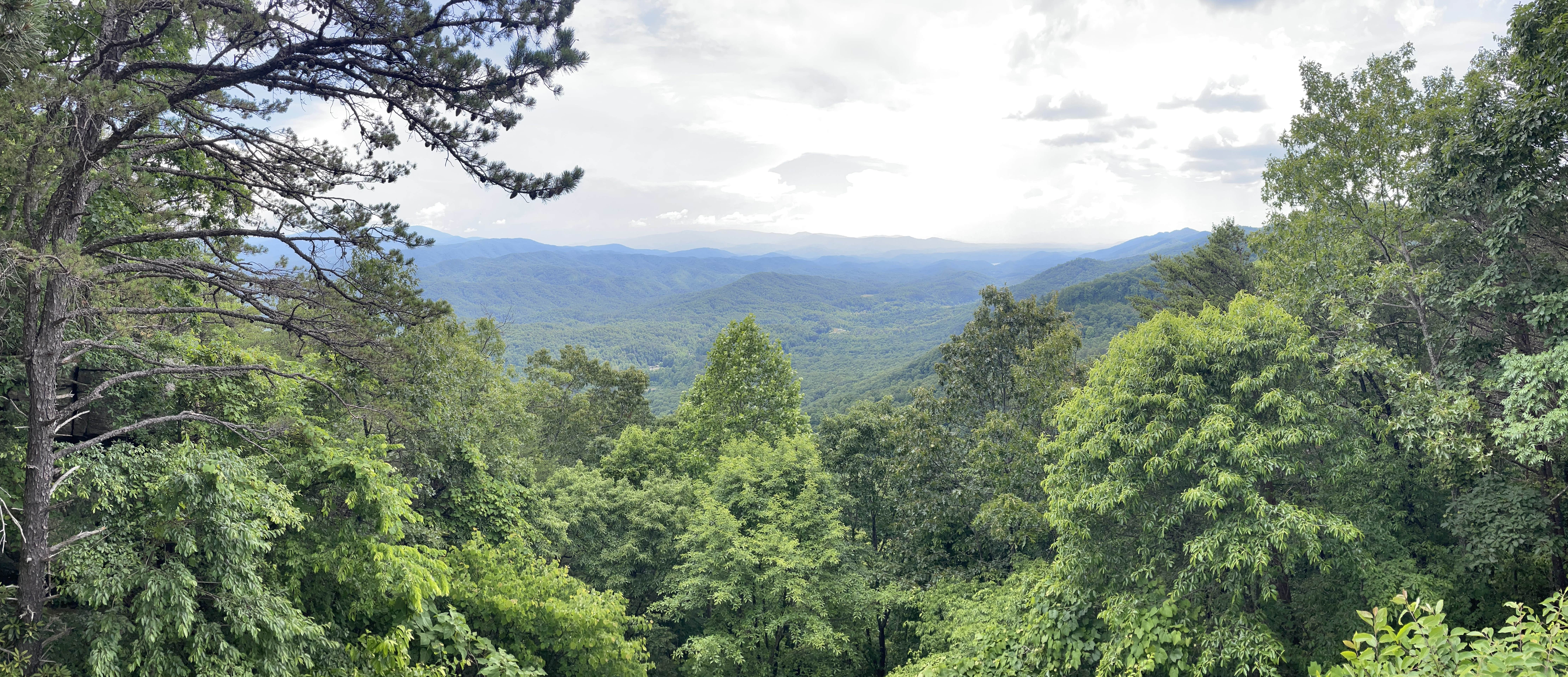 Camper-submitted photo at Look Rock Campground — Great Smoky Mountains National Park near Maryville, TN
