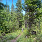 Review photo of Cabin City Campground (Mt) — Lolo National Forest by Joshua D., July 2, 2023