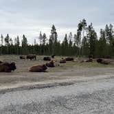 Review photo of Rainbow Point Campground by Joshua D., July 2, 2023