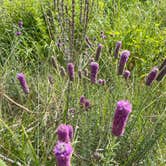 Review photo of Lac qui Parle County Park by Timothy W., July 2, 2023