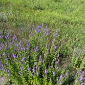 Review photo of Lac qui Parle County Park by Timothy W., July 2, 2023