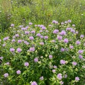 Review photo of Lac qui Parle County Park by Timothy W., July 2, 2023