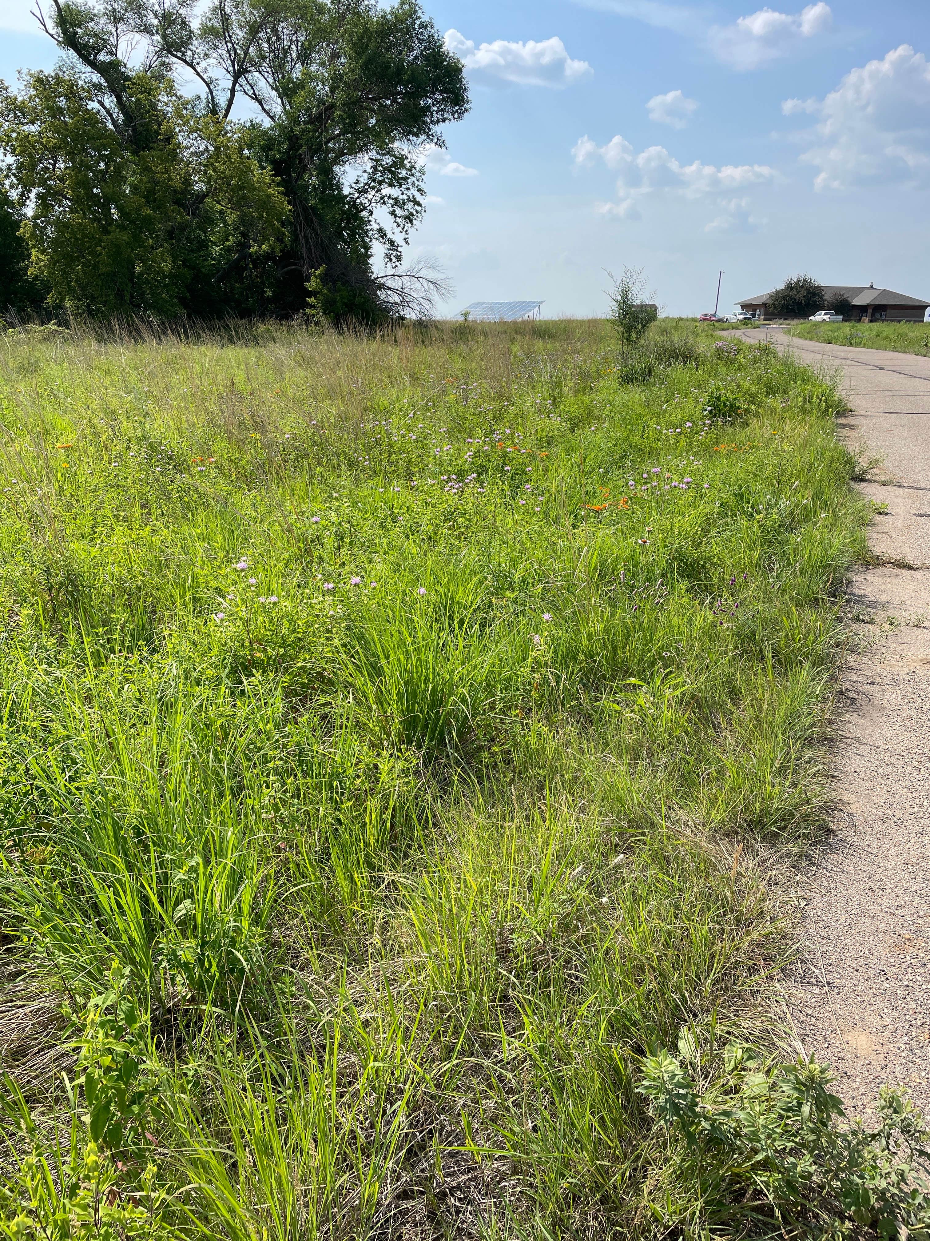 Camper-submitted photo at Lac qui Parle County Park near Corona, SD
