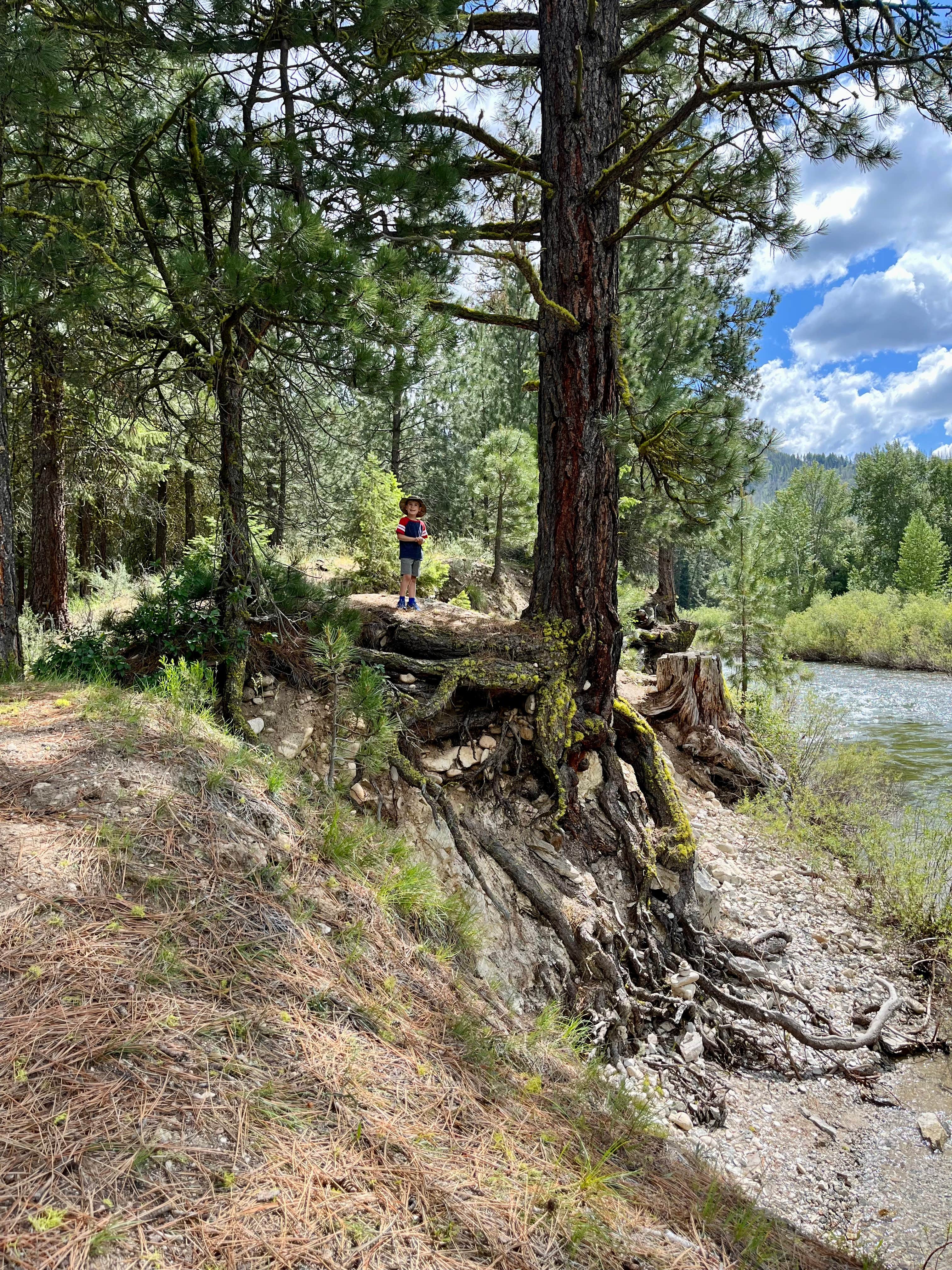 Camper-submitted photo at Baumgartner Campground near Fairfield, ID