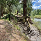 Review photo of Baumgartner Campground by Joshua D., July 2, 2023