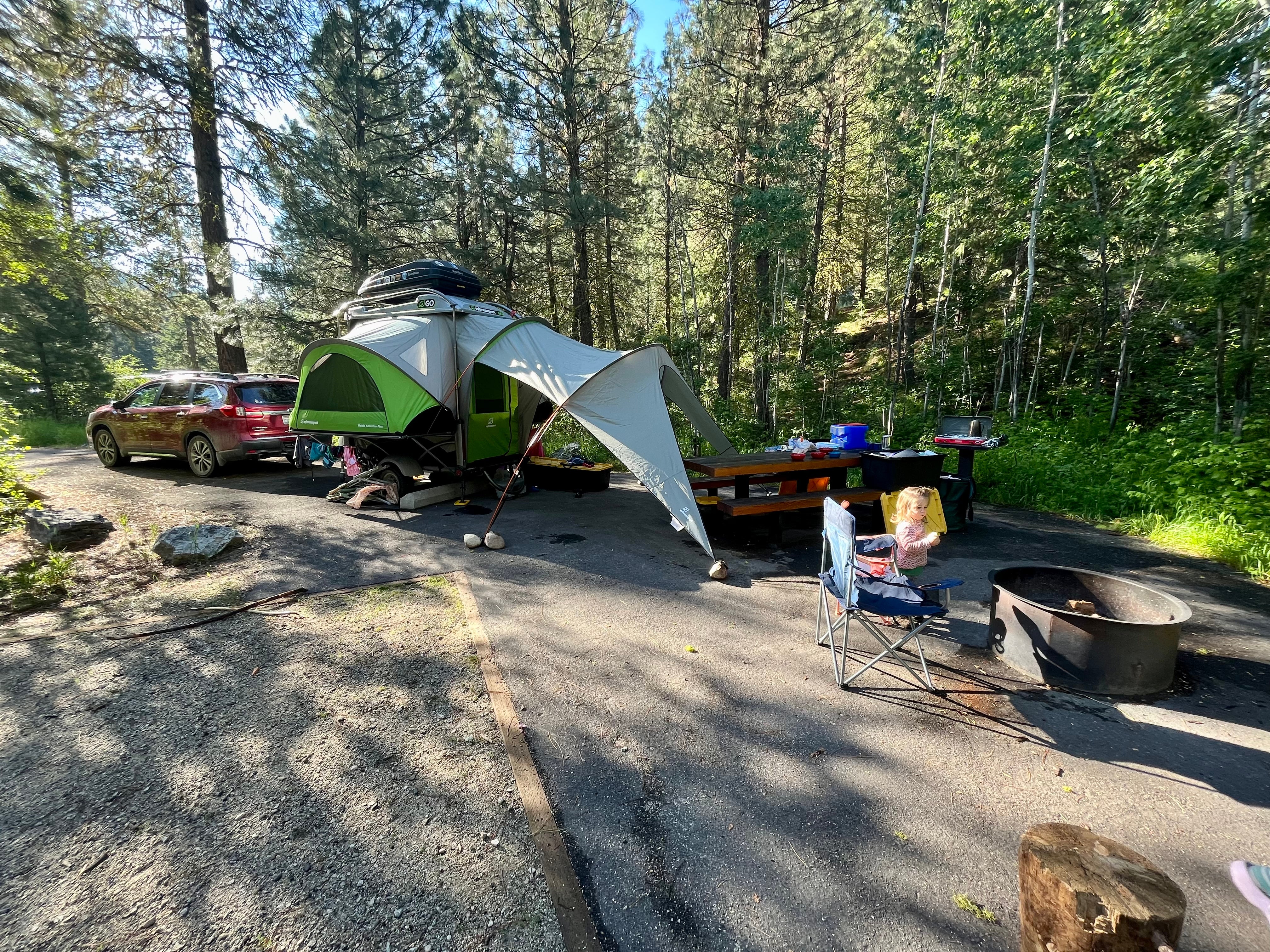 Camper submitted image from Baumgartner Campground - 1