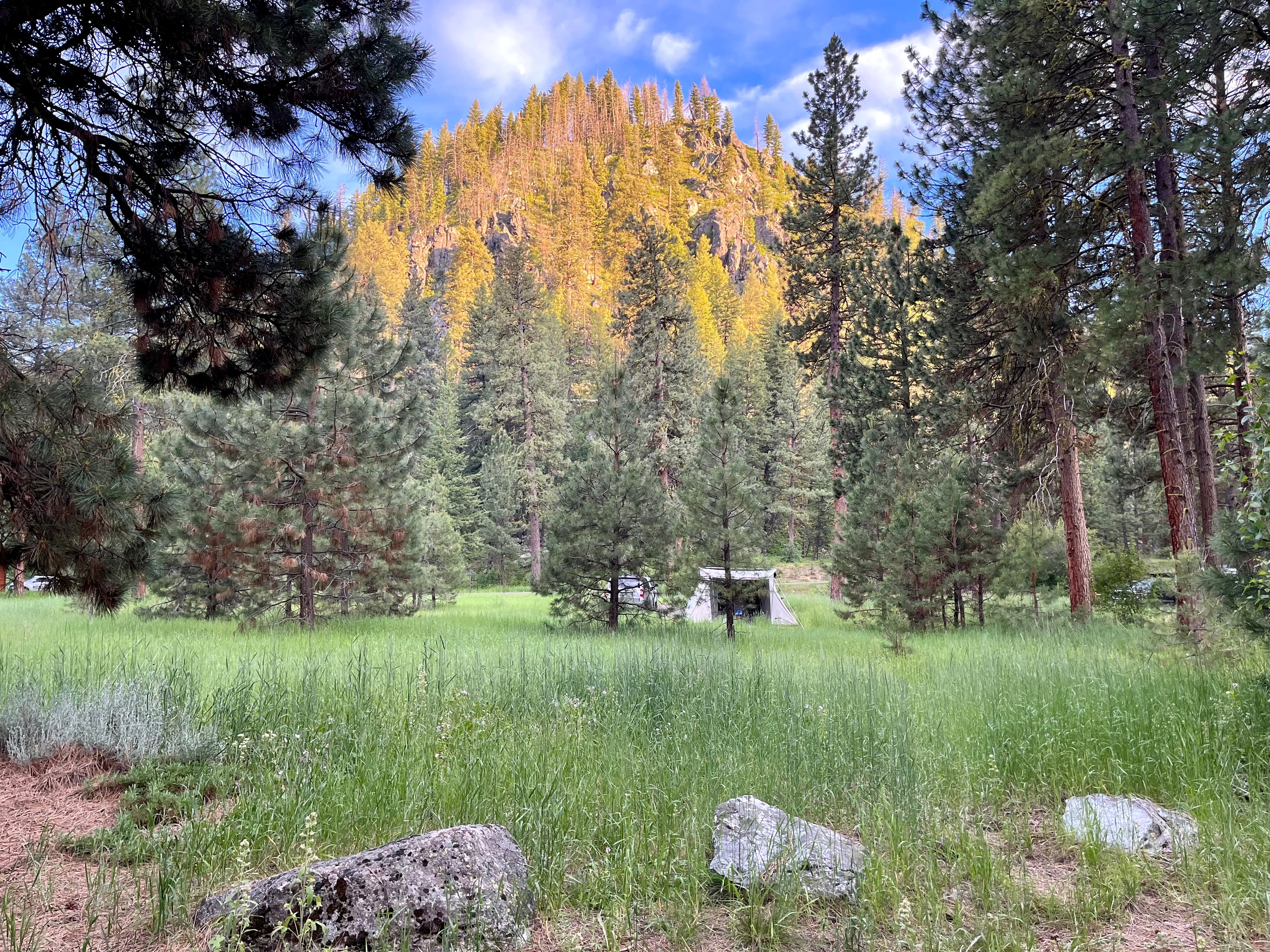 Camper submitted image from Baumgartner Campground - 2