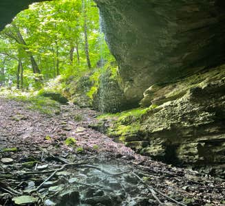 Camper-submitted photo from Maple Springs Campground — Mammoth Cave National Park