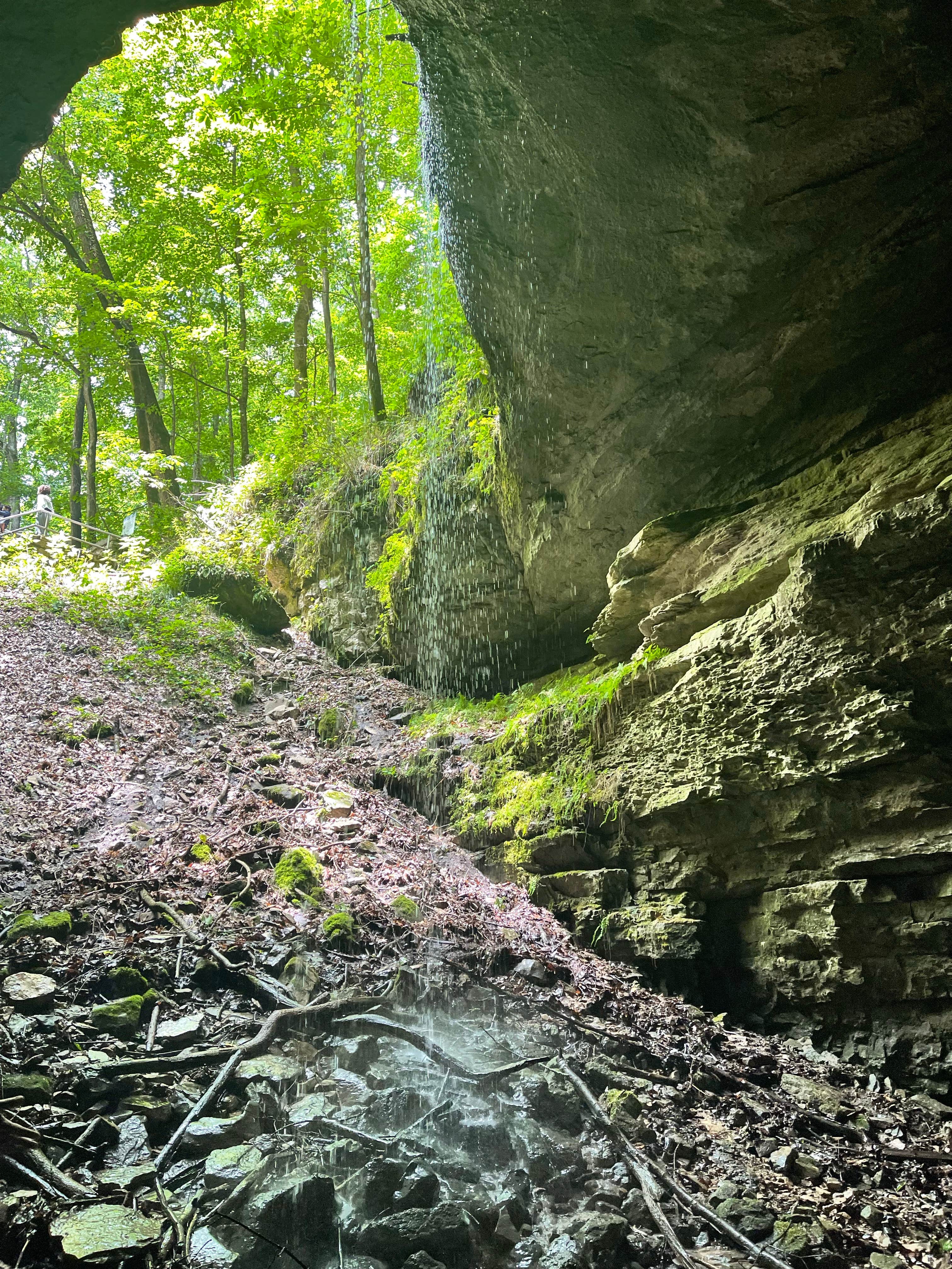 Camper submitted image from Maple Springs Campground — Mammoth Cave National Park - 1