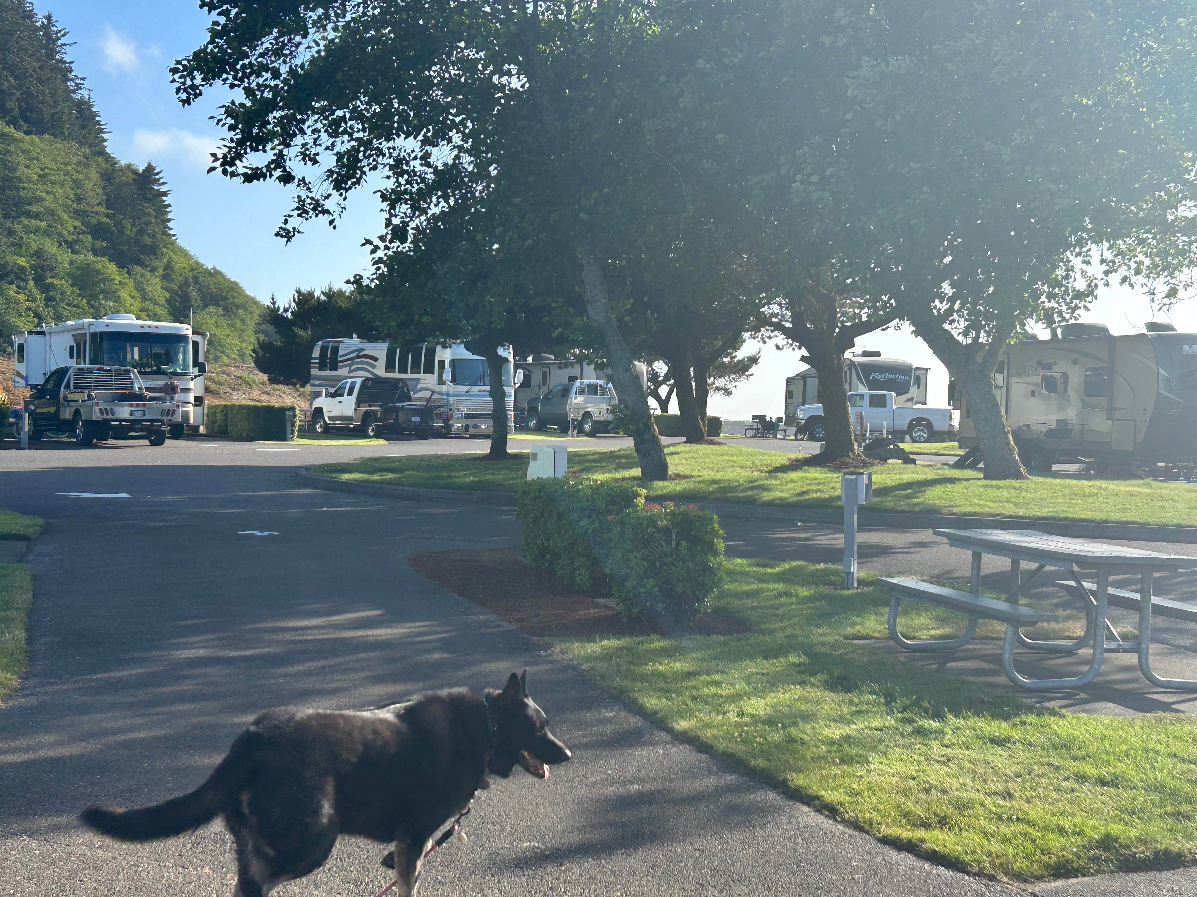 Cathy C.'s photo of rv camping at Winchester Bay RV Resort near Florence, OR