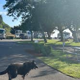 Review photo of Winchester Bay RV Resort by Cathy C., July 3, 2023