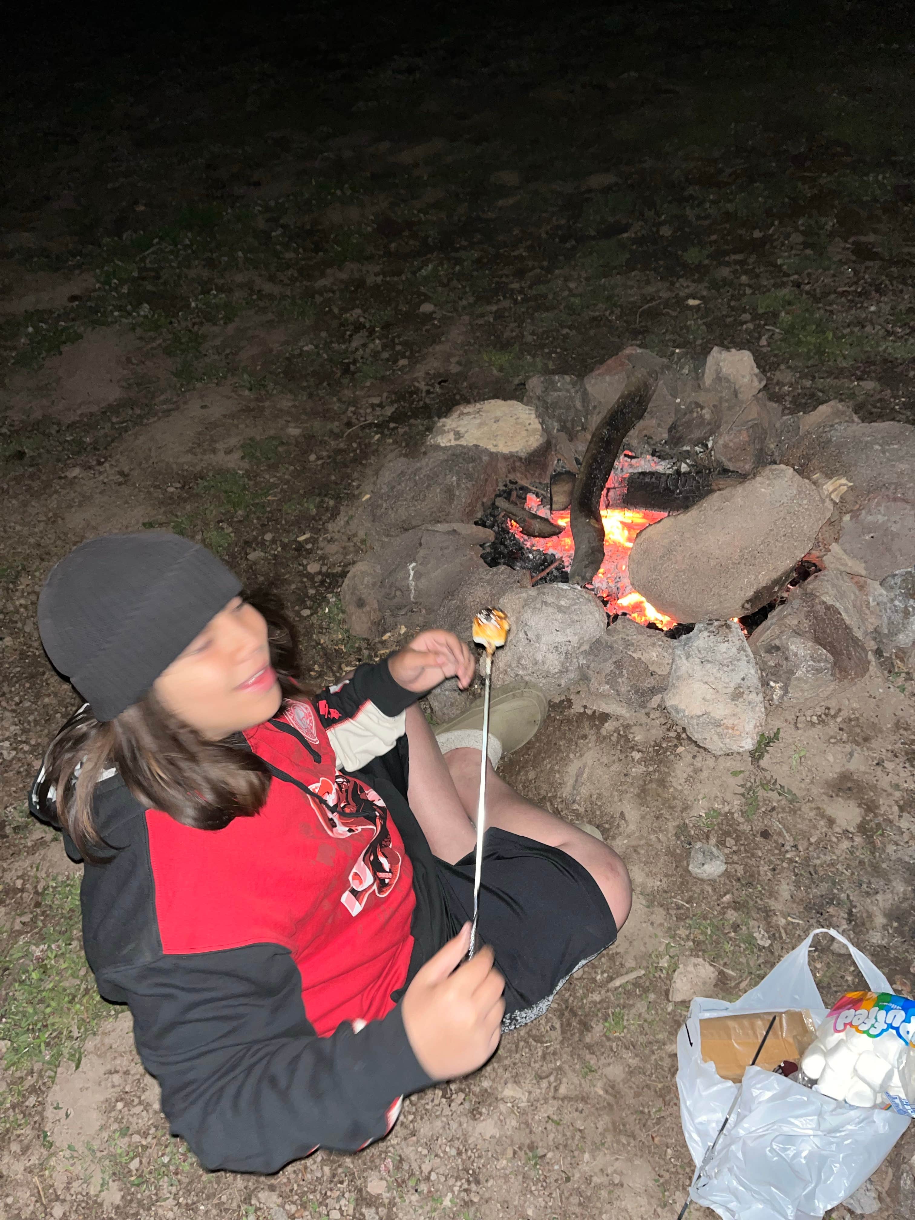 Camper-submitted photo at Bear Flat near Parowan, UT