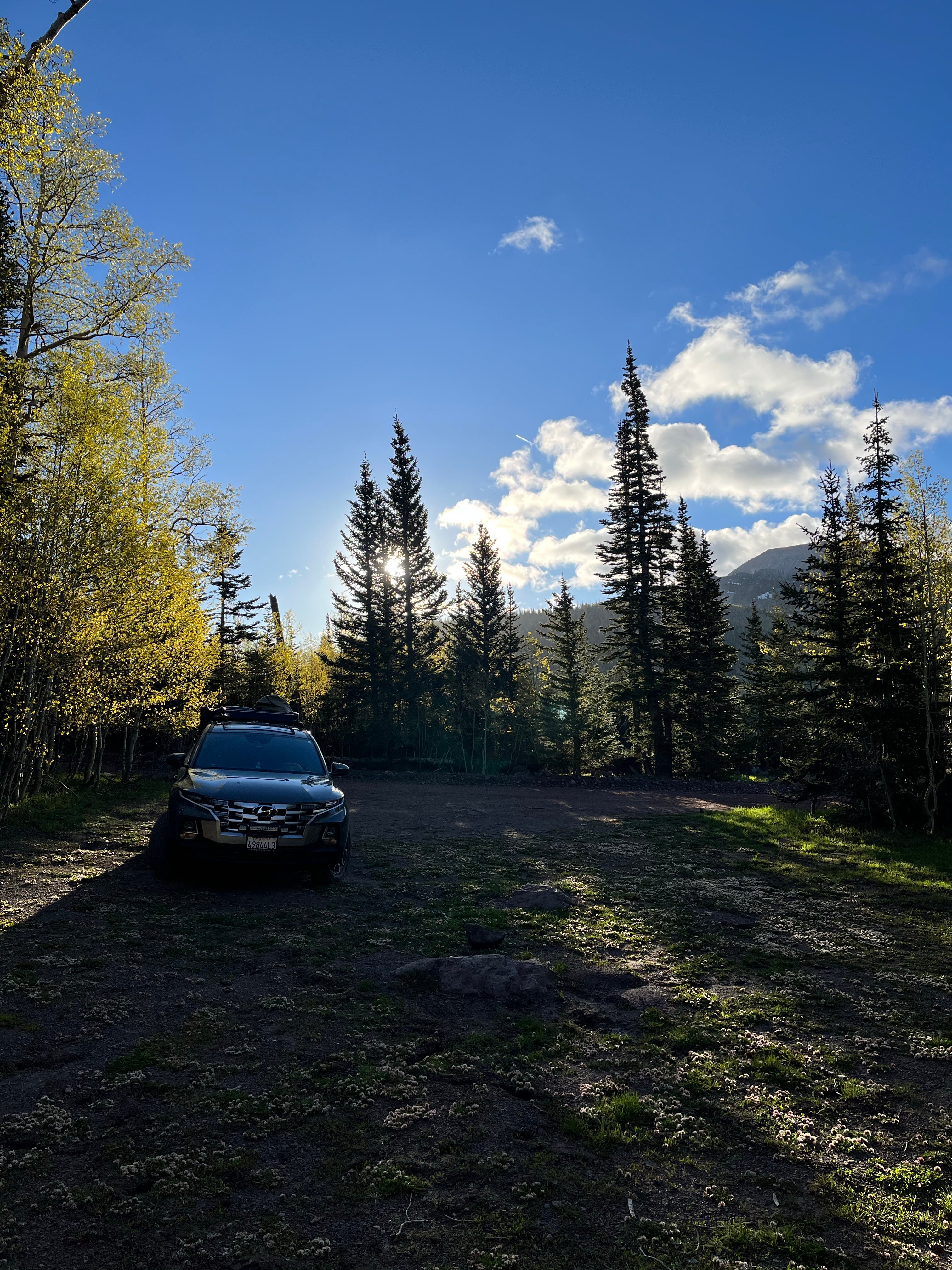 Camper submitted image from Bear Flat - 3