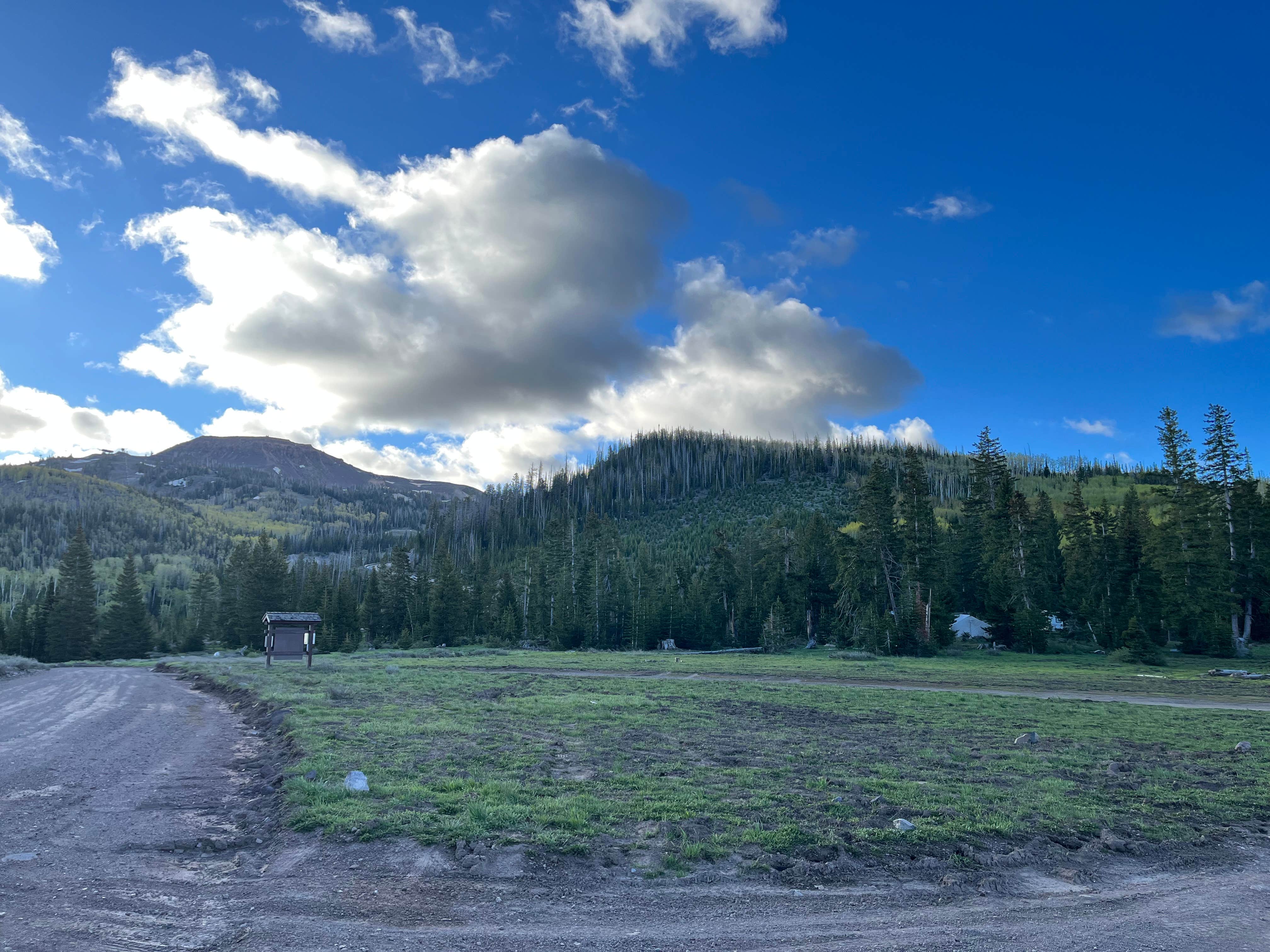 Michael E.'s photo of a dispersed camping area at Bear Flat near Kanarraville, UT