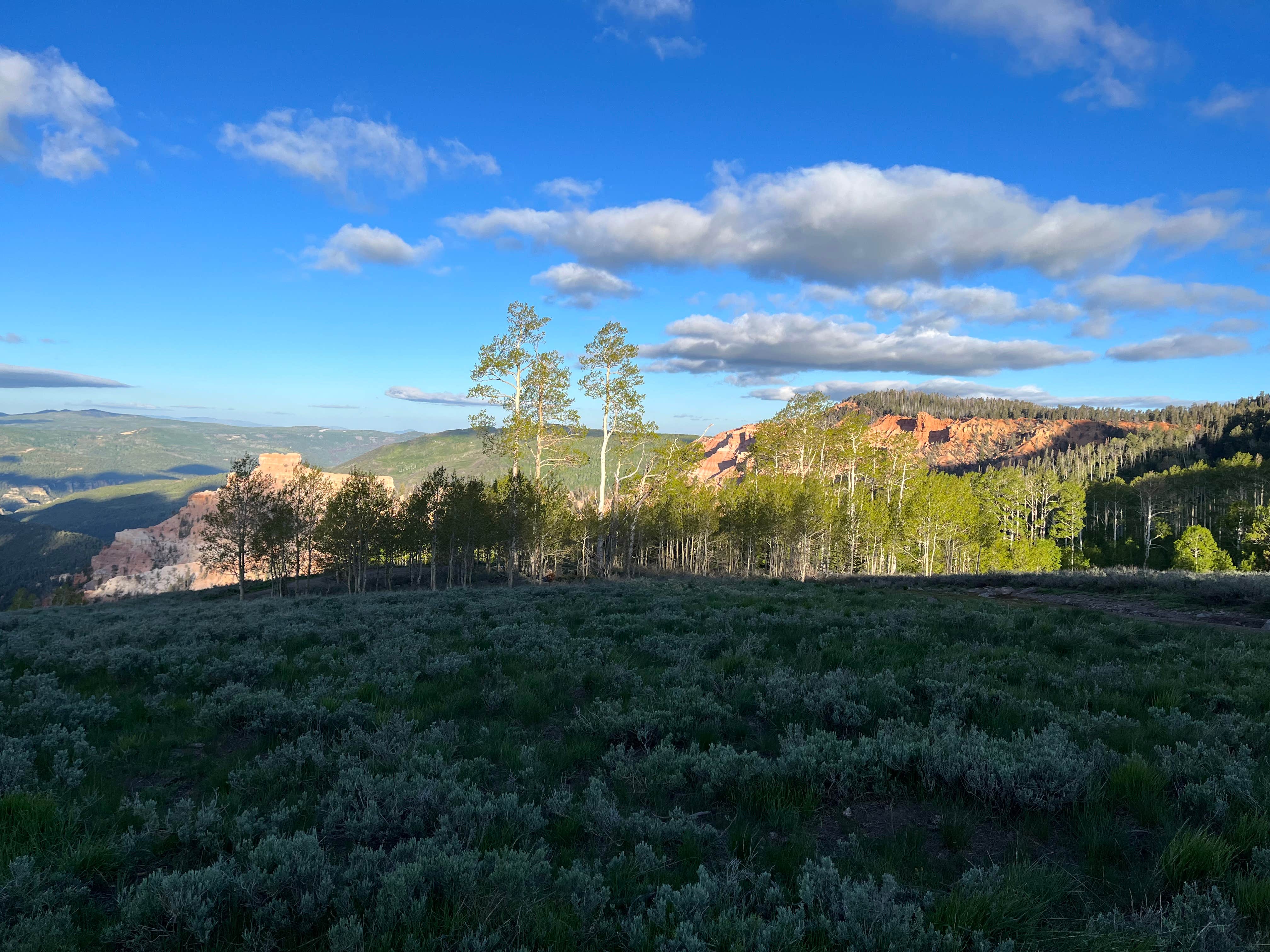 Michael E.'s photo of a dispersed camping area at Bear Flat near Cedar City, UT