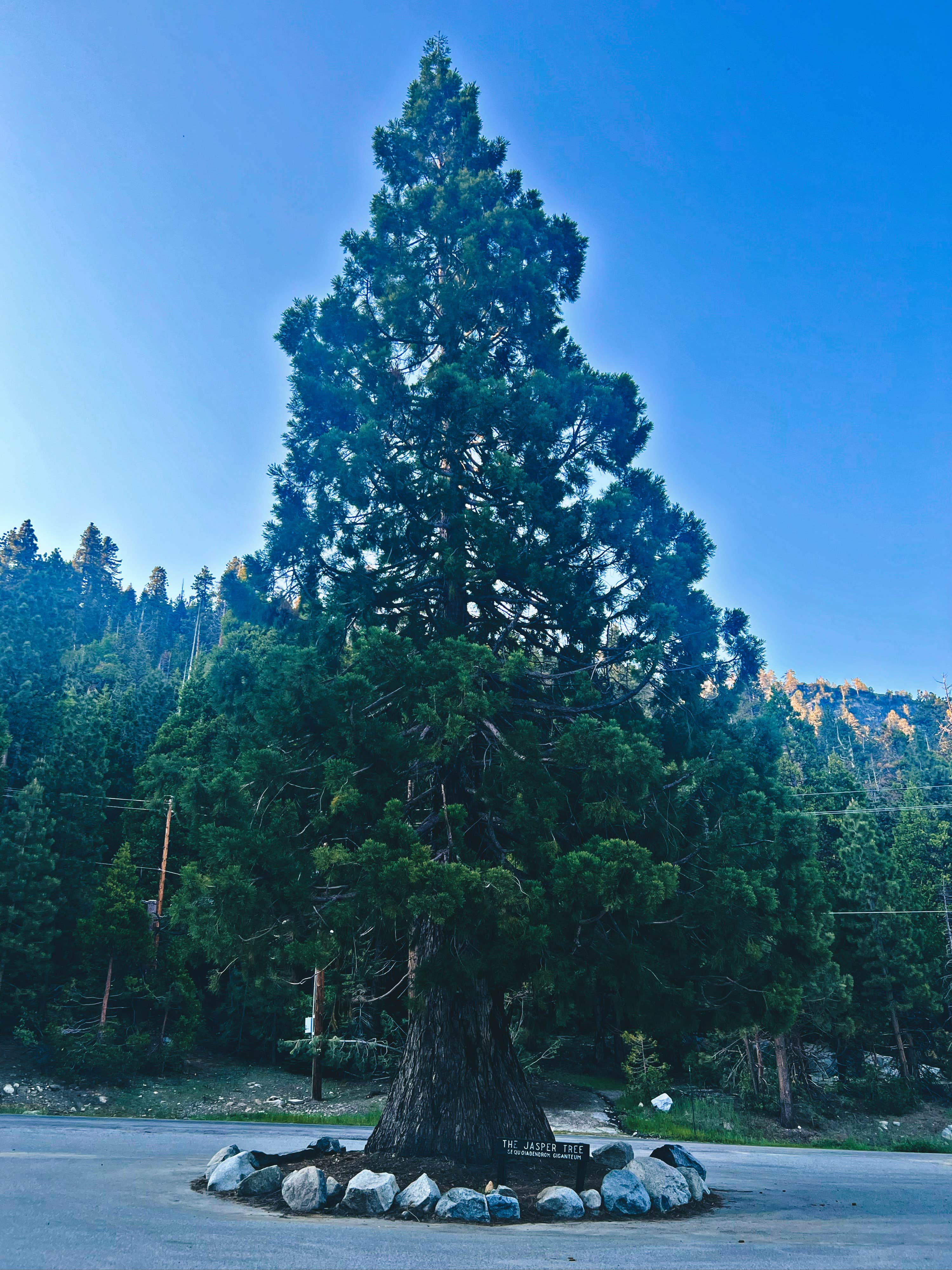 Camper-submitted photo at Wishon Village RV Resort near Shaver Lake, CA