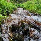 Review photo of Boreas Pass Road Designated Dispersed Camping by Kayla V., July 3, 2023