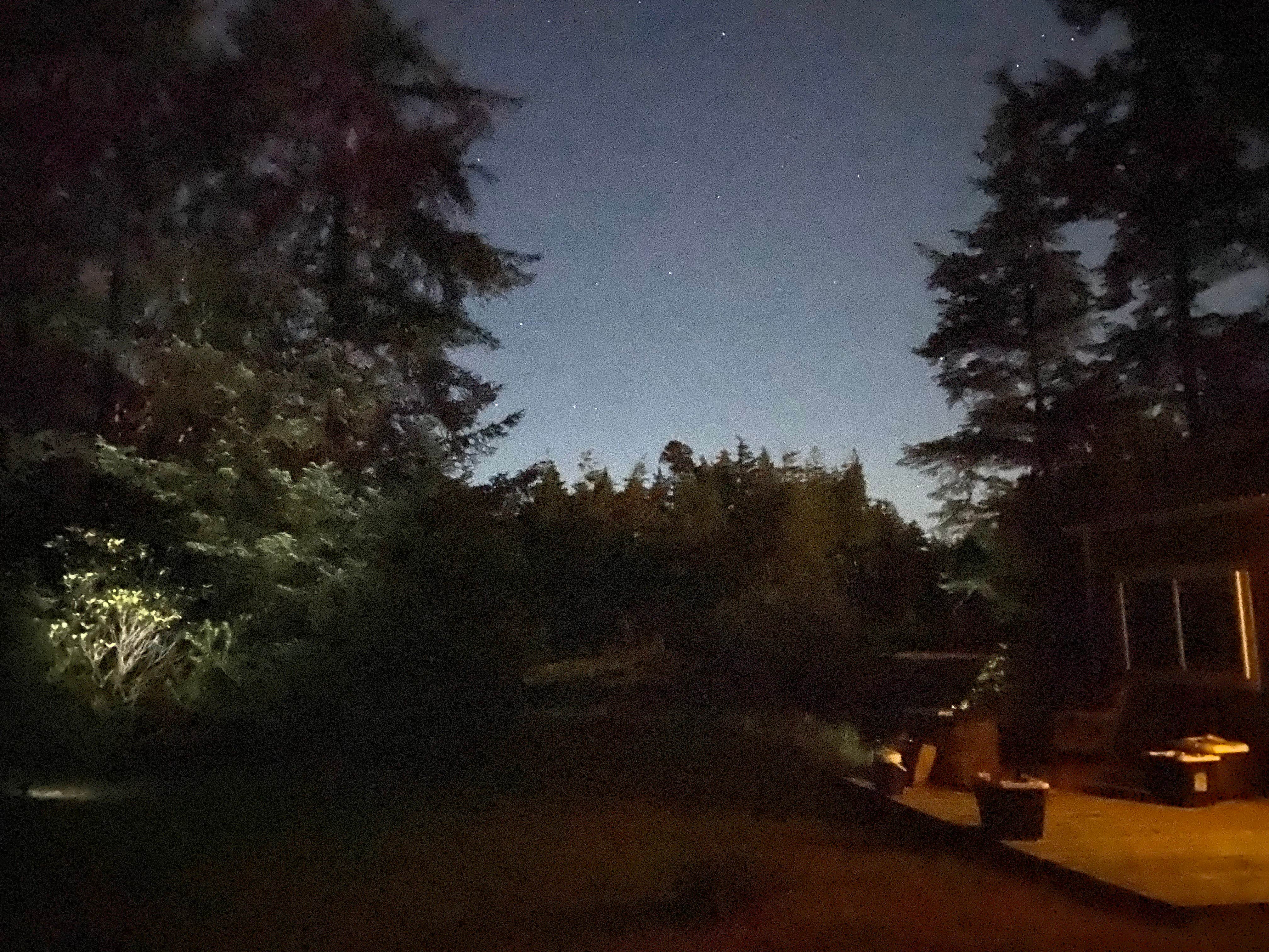 Camper-submitted photo at Dew Valley Ranch Nature Retreat near Myrtle Point, OR