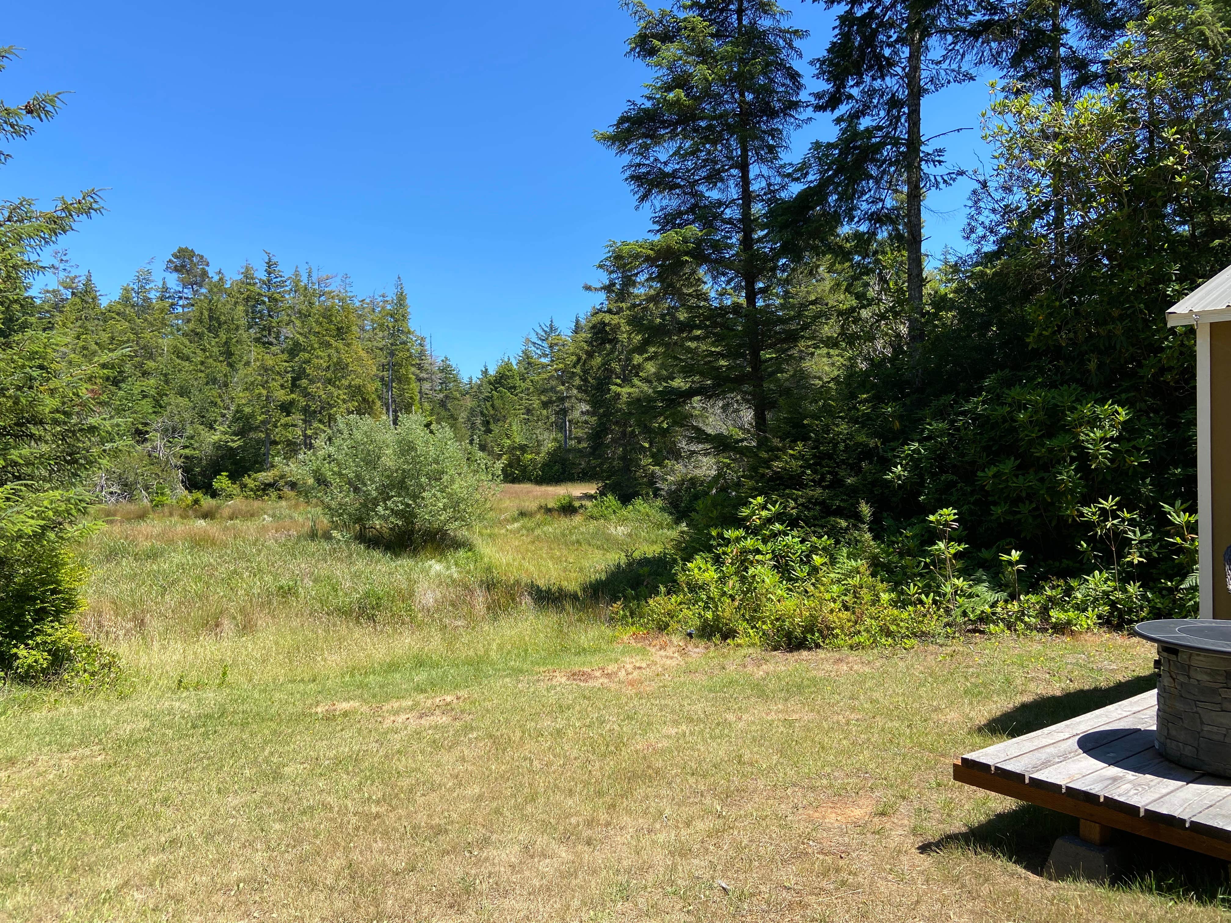 Camper-submitted photo at Dew Valley Ranch Nature Retreat near Myrtle Point, OR