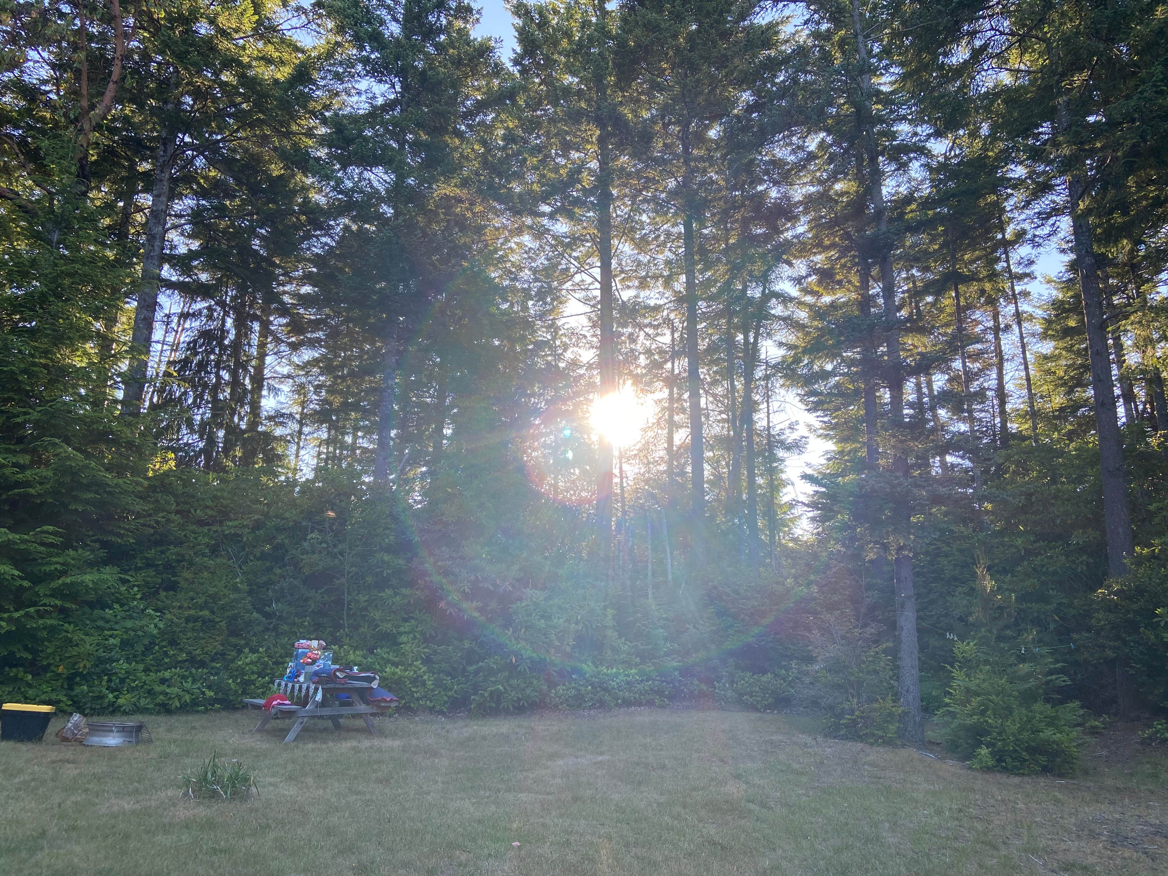 Camper-submitted photo at Dew Valley Ranch Nature Retreat near Myrtle Point, OR