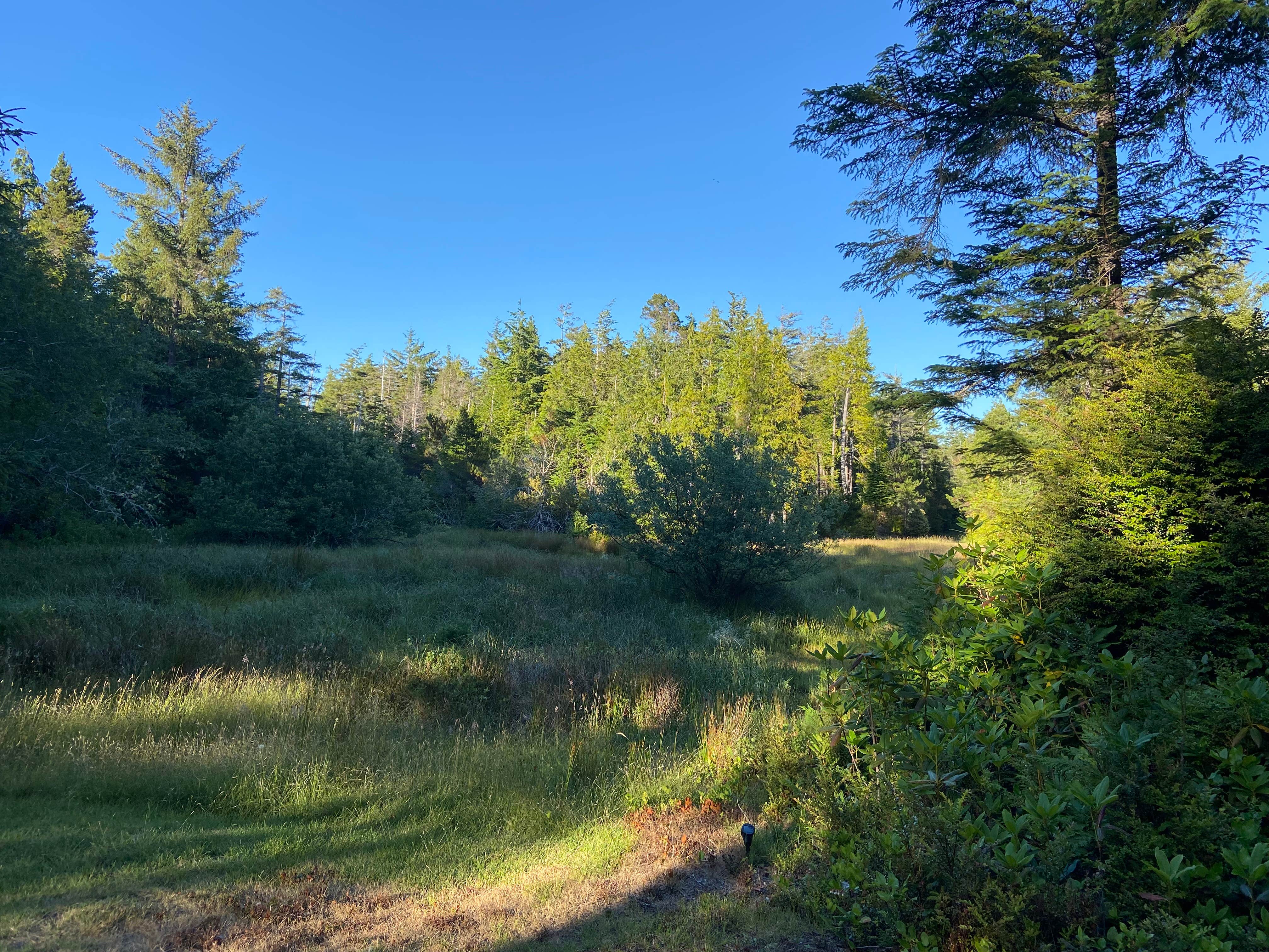 Camping near Bullards Beach State Park Campground: Dew Valley Ranch Nature Retreat, Bandon, Oregon