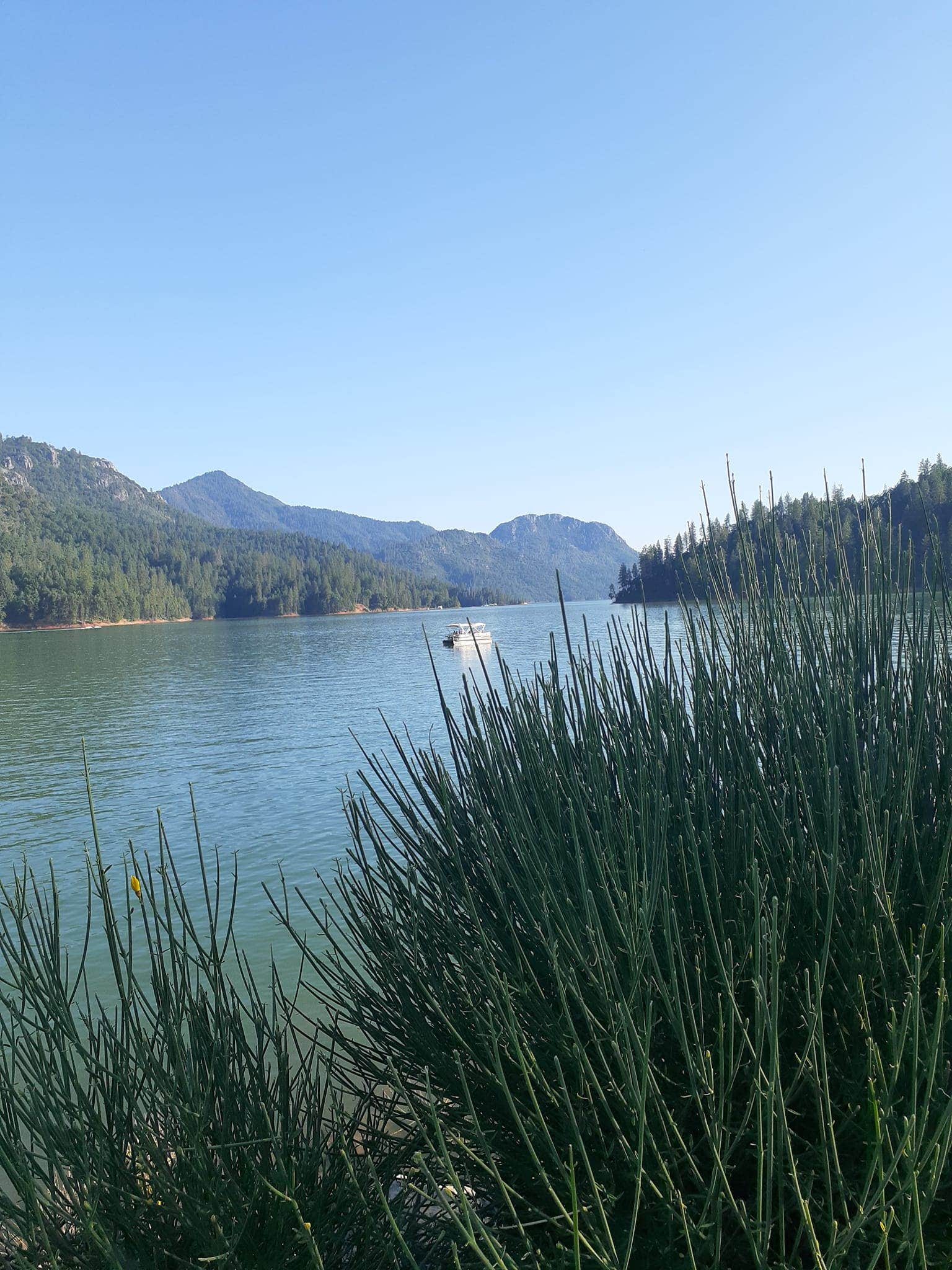 Camper-submitted photo at Hirz Bay Campground near Lakehead, CA