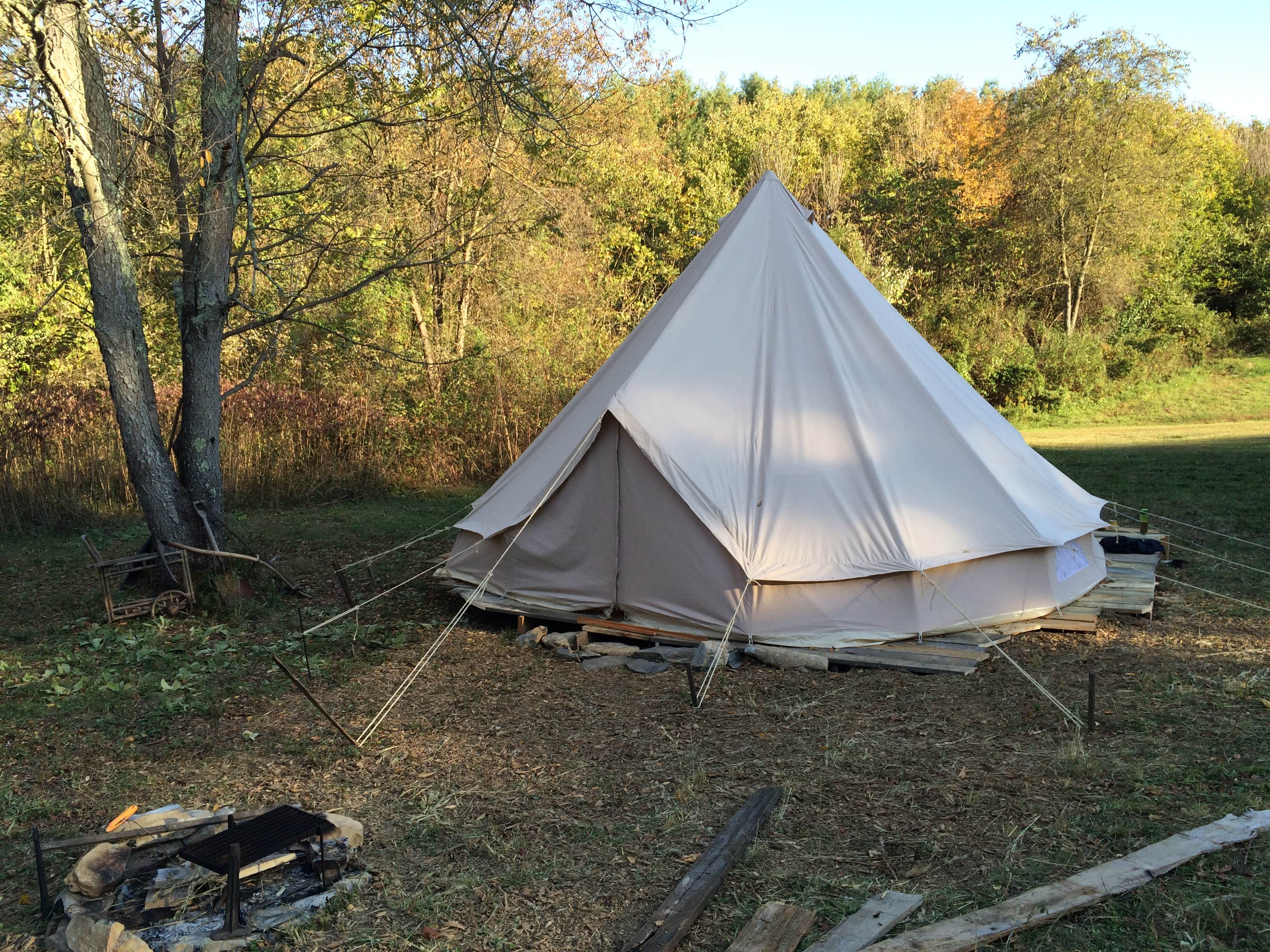 Simone V.'s photo at Sanctuary Acres near Chesapeake & Ohio Canal National Historical Park